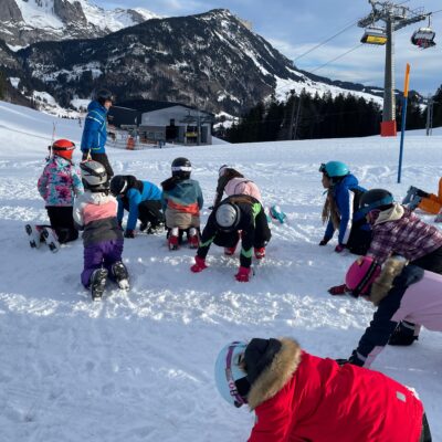 Foto Bildergalerie